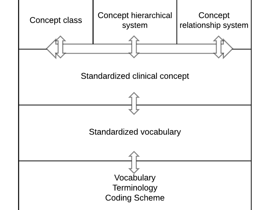 cmd_vocab_intro.png