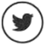 twittericon.png