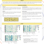 77-Pattern_LC_Kim – Kim López Güell